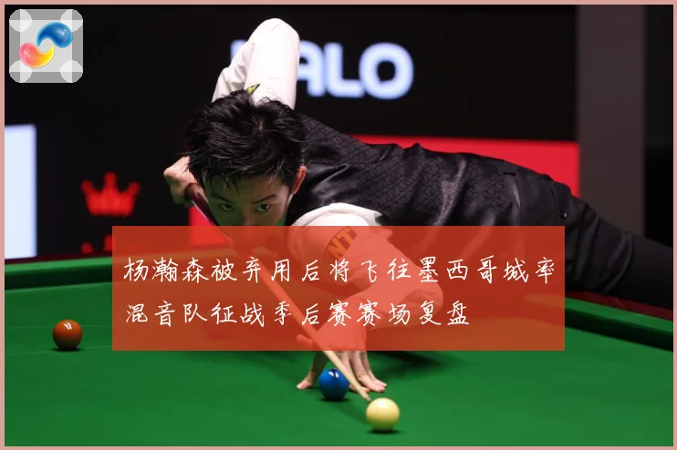 杨瀚森被弃用后将飞往墨西哥城率混音队征战季后赛赛场复盘
