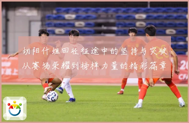 切阳什姐田径征途中的坚持与突破从赛场荣耀到榜样力量的精彩篇章